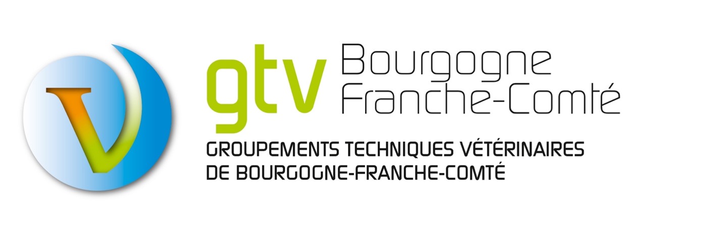 GTV Bourgogne's webinar